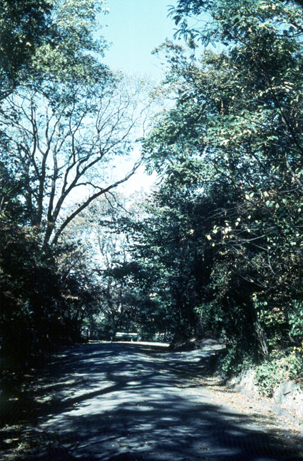 M20-Herbst auf der Hardt - 1959